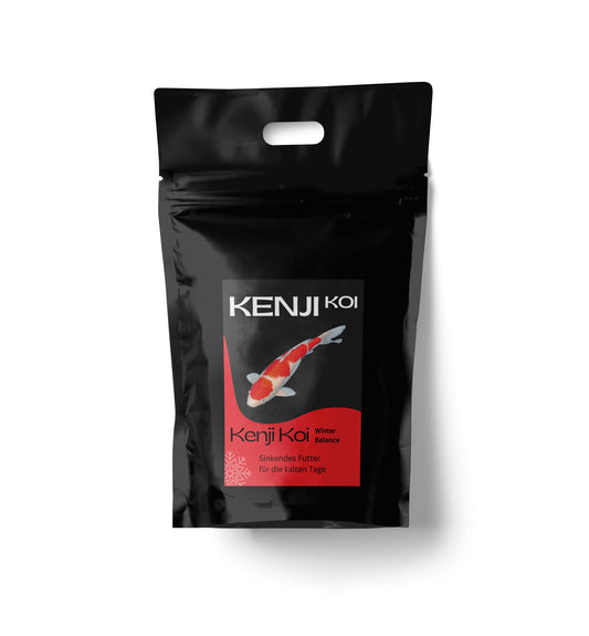 KENJI KOI Winter Balance - sinking