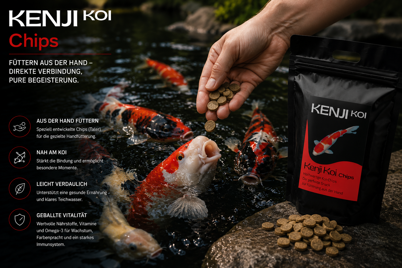 KENJI KOI Snack – Chips
