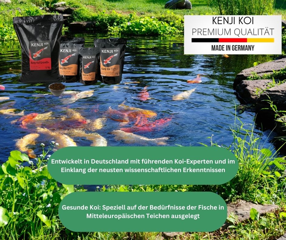 KENJI KOI Daily Koi Food - Für die ganze Saison