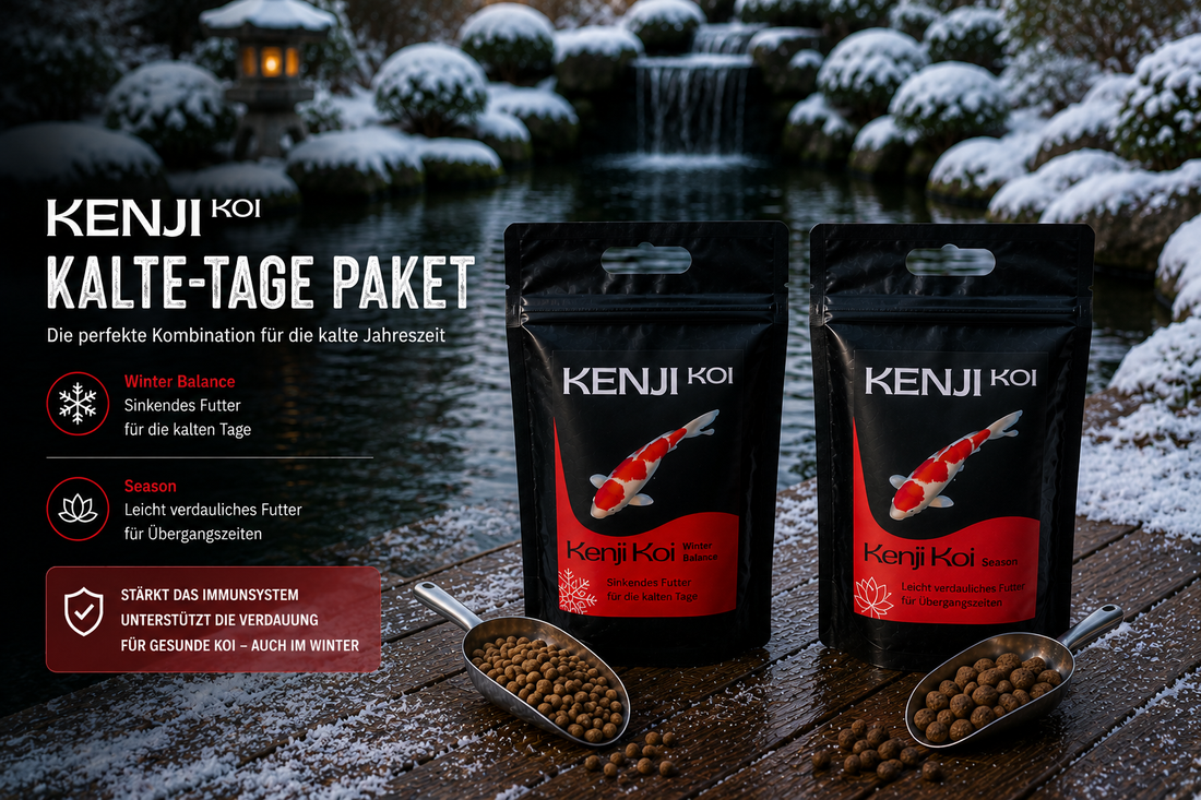 KENJI KOI Kalte Tage Paket