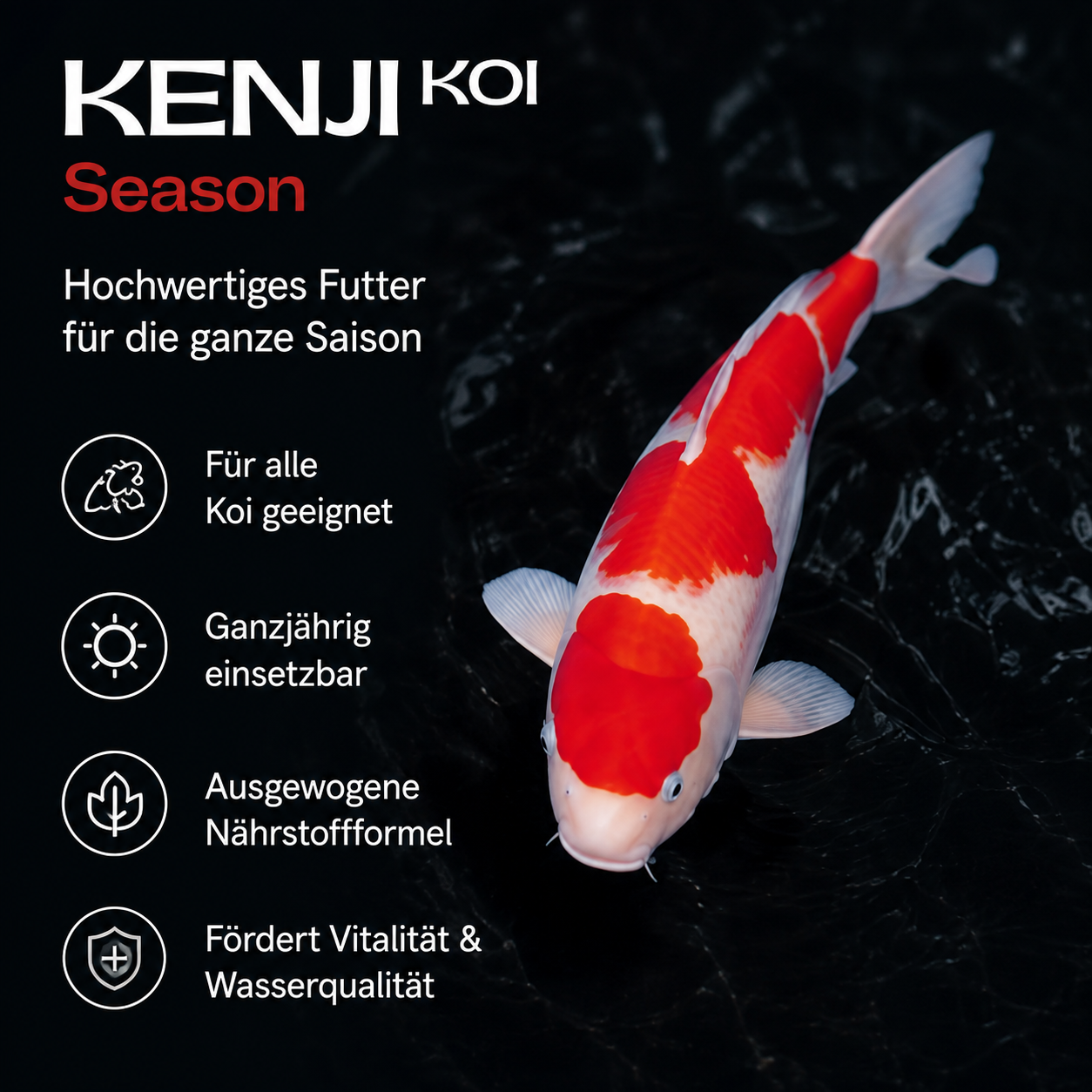 KENJI KOI Season Koifutter
