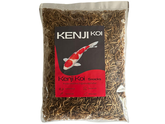 KENJI KOI Snack - Mehlwürmer