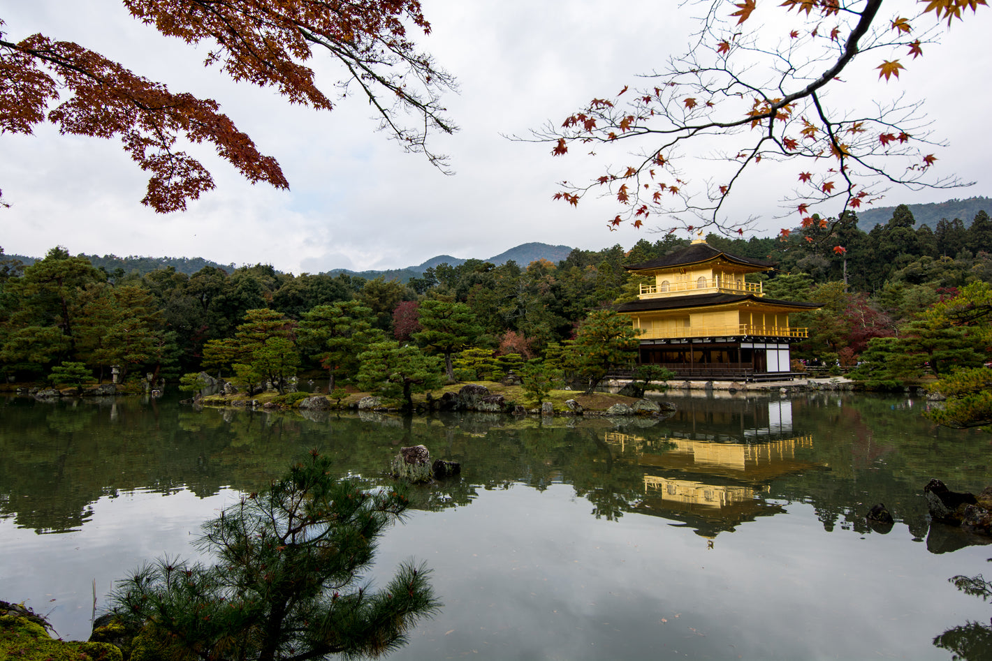 yellow-building-sits-on-a-lake-surrounded-by-trees - KENJI KOI Products