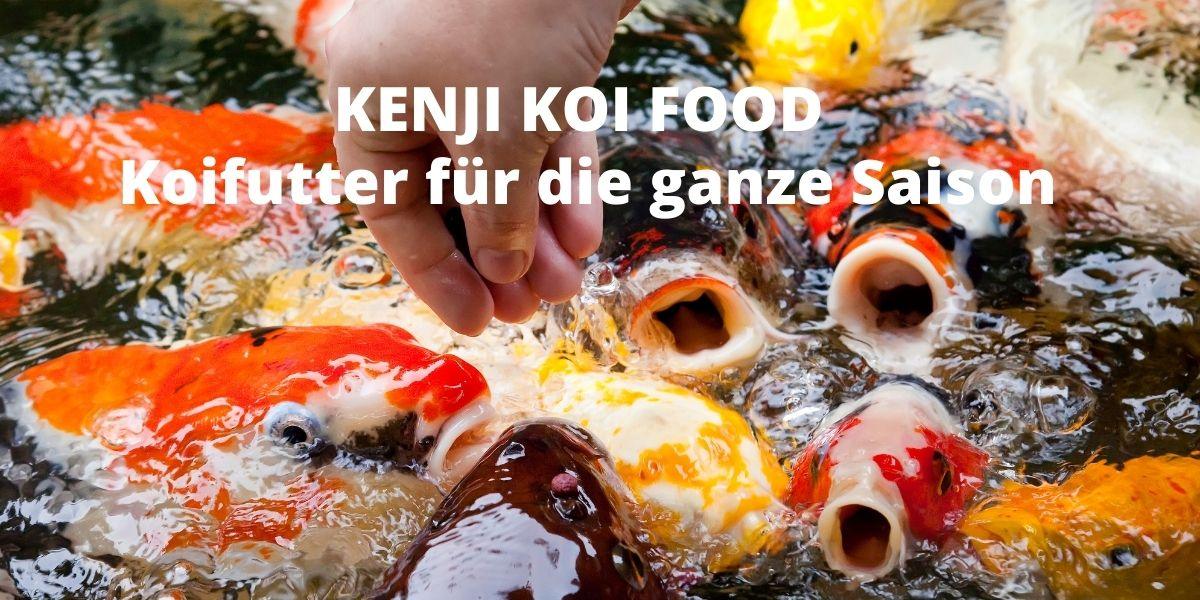 KENJI KOI Daily Food - Für die ganze Saison - KENJI KOI Products